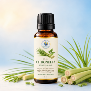 Citronella