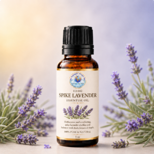 Spike Lavender