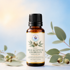 Eucalyptus Globulus